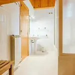 Appartamento Olympia By Cardi Suites. Formigal