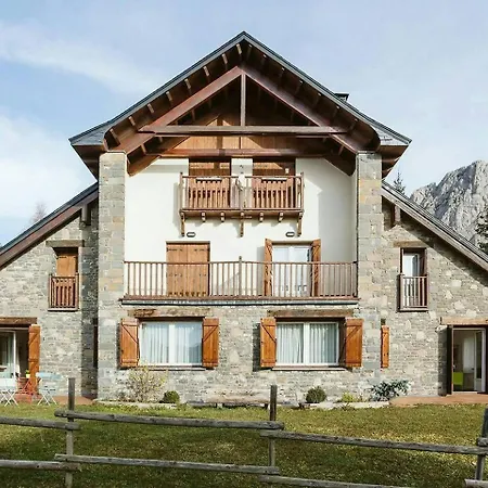 Daire Olympia By Cardi *